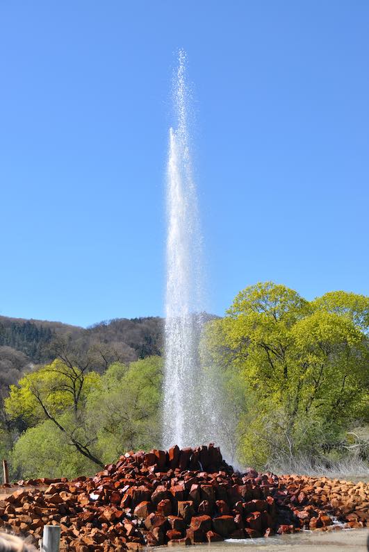 Gysir Der Gysir von Andernach